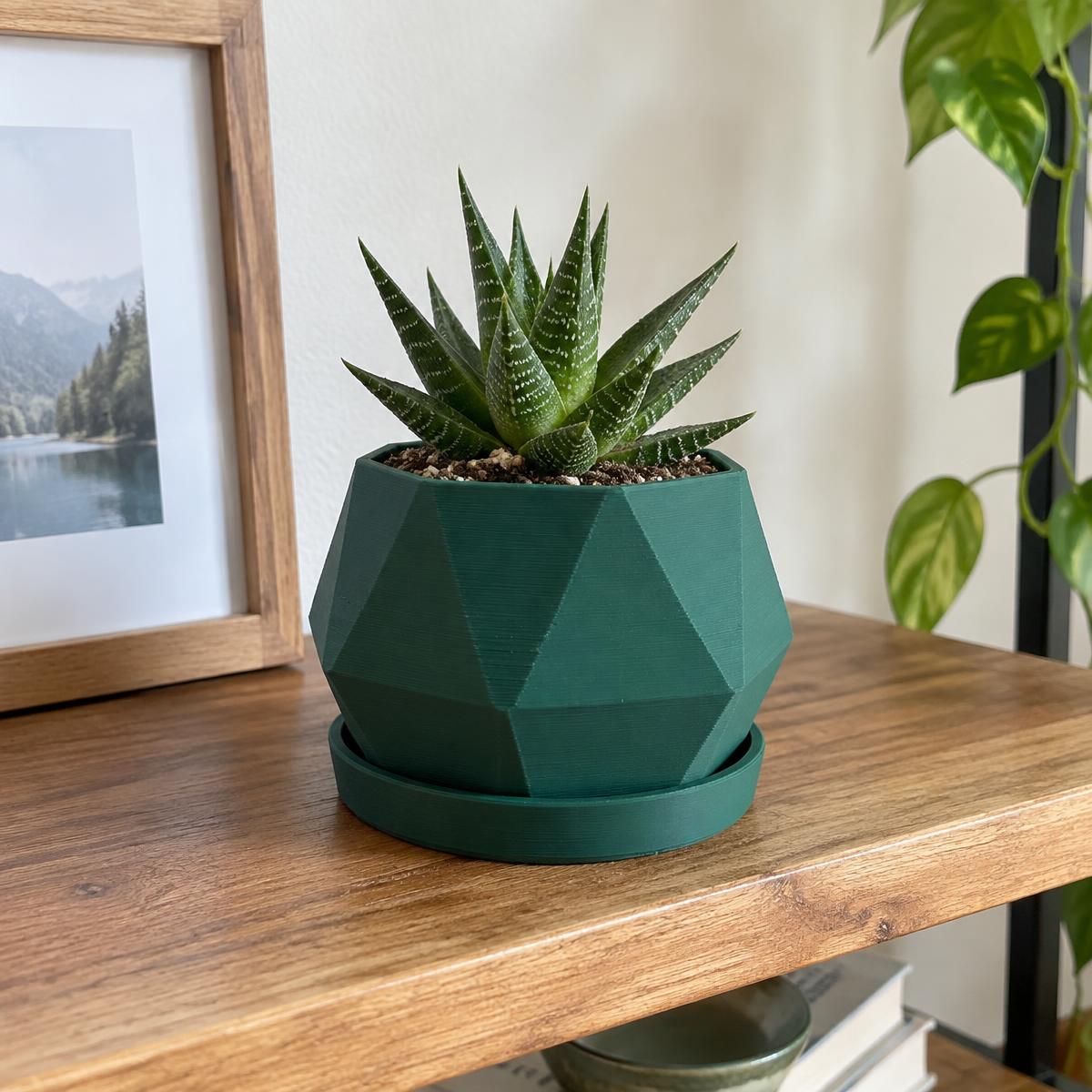 Geometric Planters — 3D printed by WebX Spider 3D